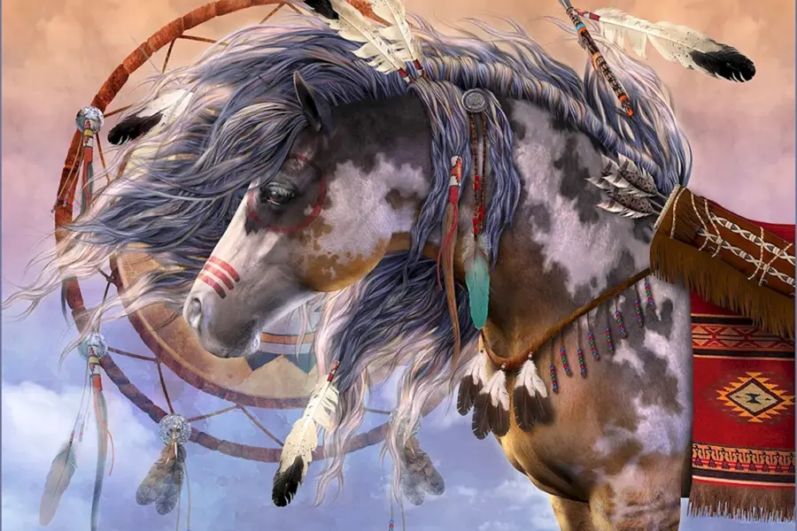 Американская индейская лошадь