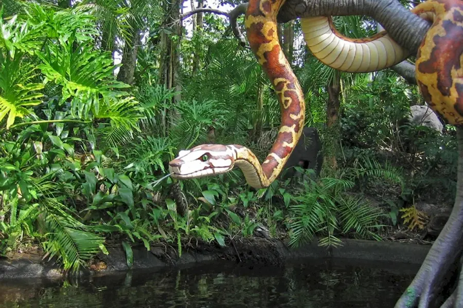 Анаконда в джунглях амазонки