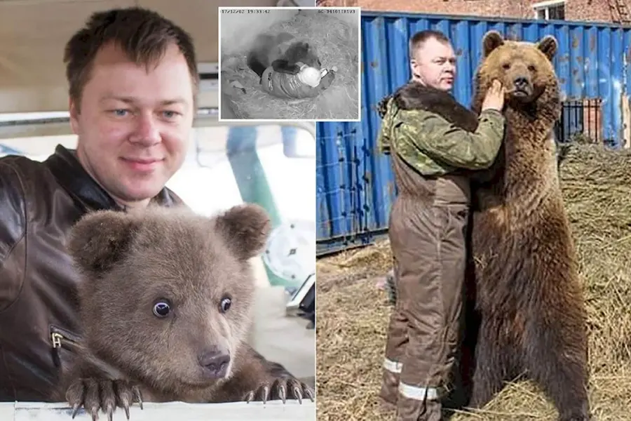 Андрей Иванов и медведем