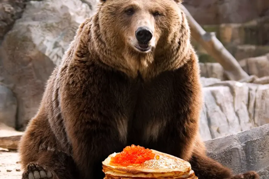 Бурый медведь Михайло Потапыч