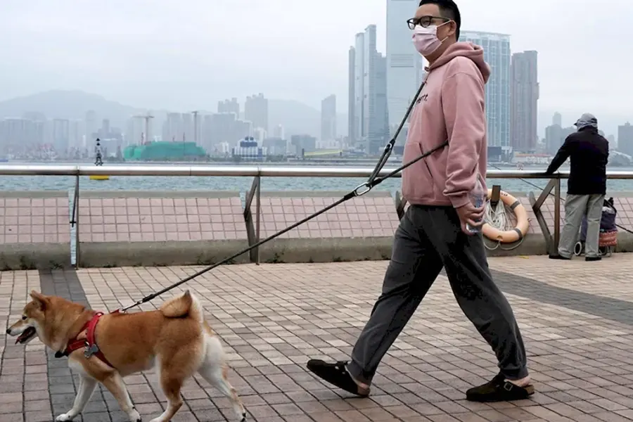 Человек выгуливает собаку
