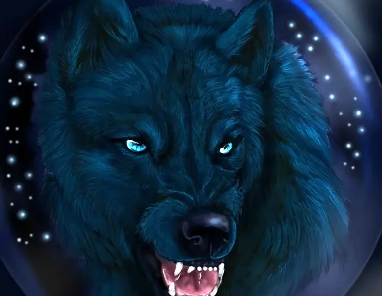Чёрная волчица с голубыми глазами