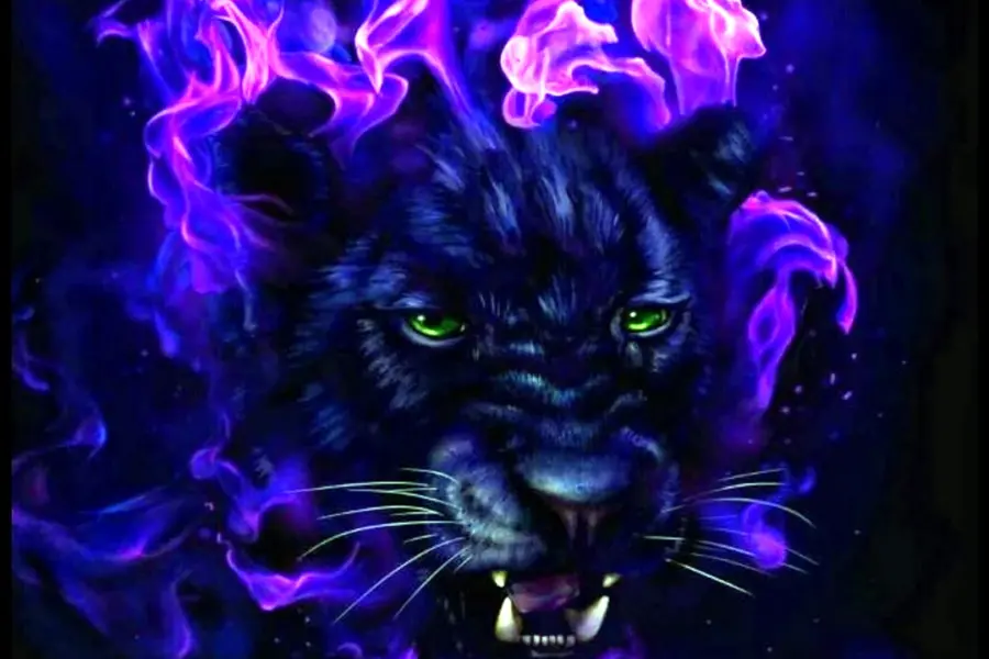 Черно фиолетовый пантера