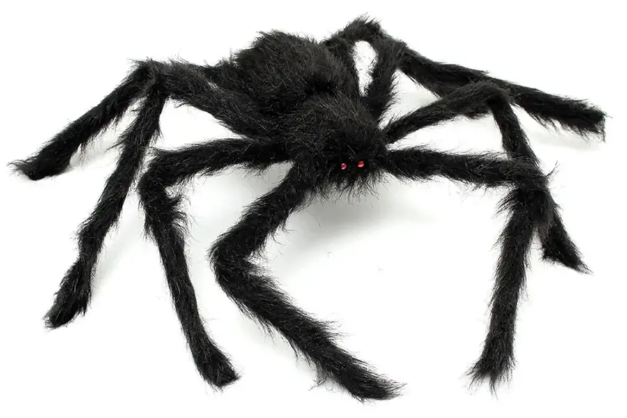 Черный паук с красными глазами