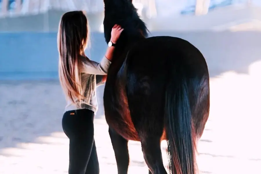 Девушка брюнетка на лошади