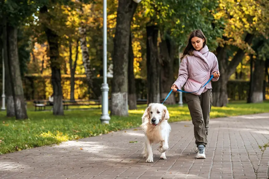 Девушка с собакой в парке