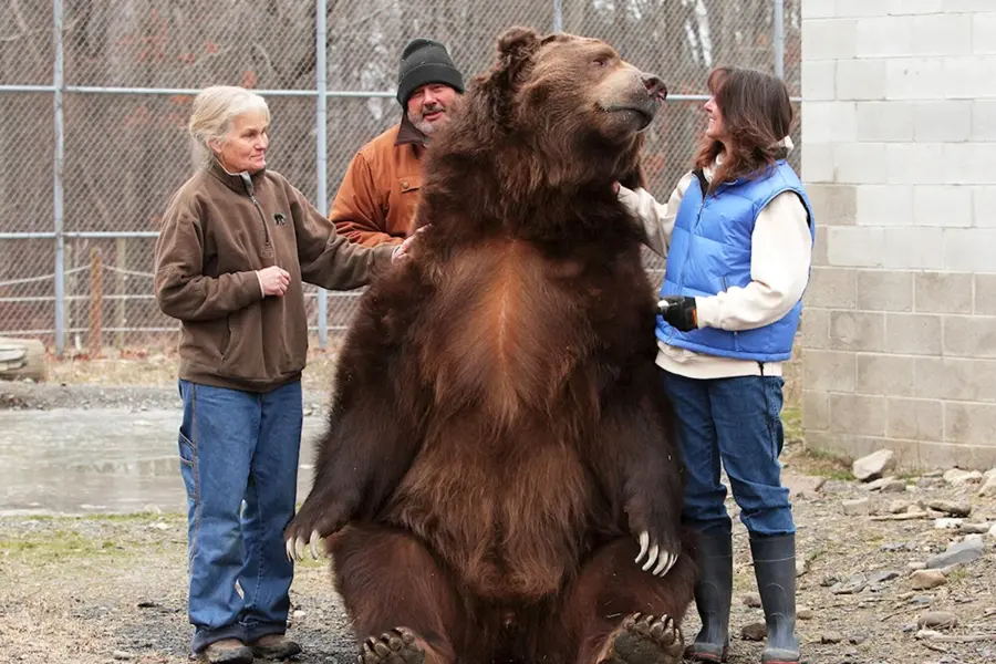 Джим Ковальчик и 22-летний медведь Джимбо