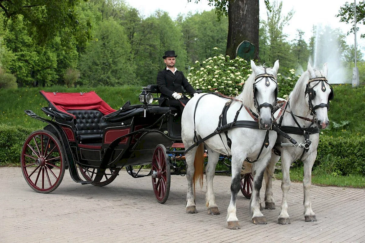 Легкий открытый двухместный экипаж. Фаэтон конный экипаж. Конный экипаж Царское село. Фаэтон карета Ландо экипаж. Ландо карета.