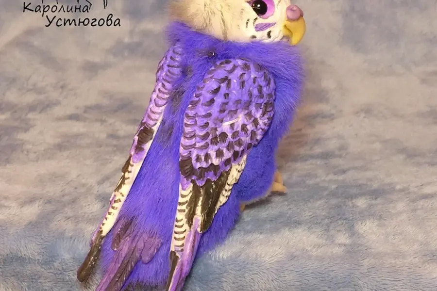 Фиолетовый попугайчик