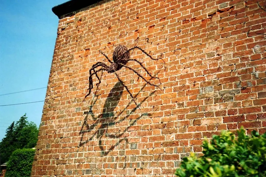 Гигантский паук на стене здания