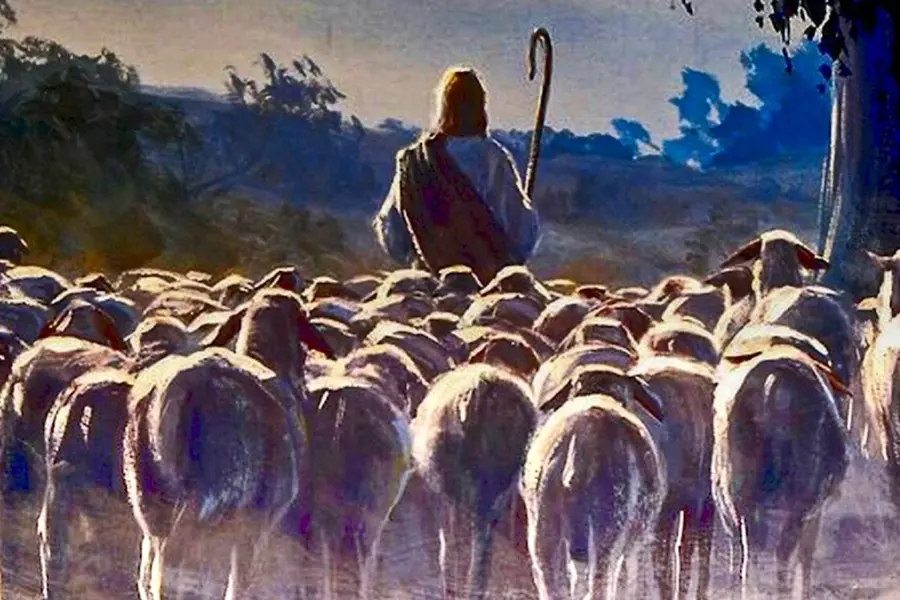 Иисус овцы анимация