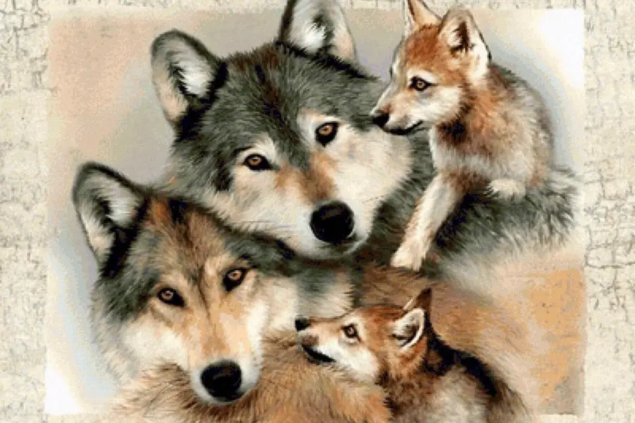 Картина Волчья семья