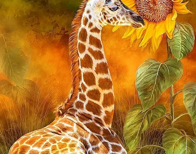 Картины с жирафами