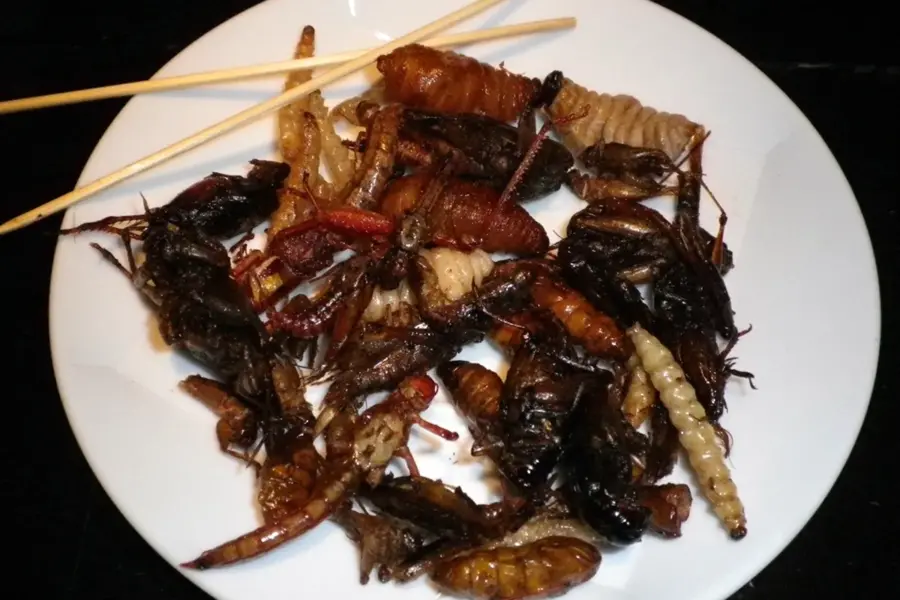 Китай еда насекомые