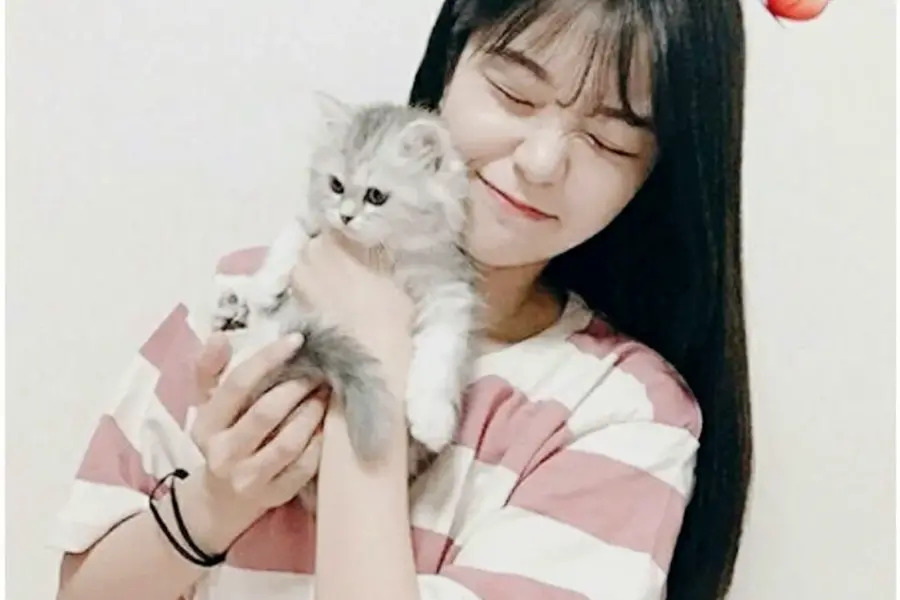 Кореянка с кошкой