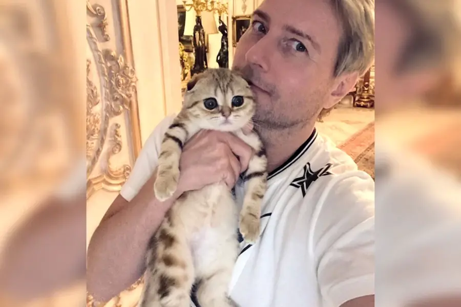 Кошка Николая Баскова