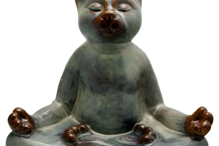 Кот дзен буддист