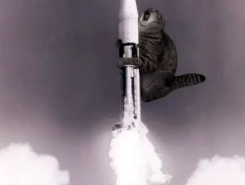 Кот на ракете вниз