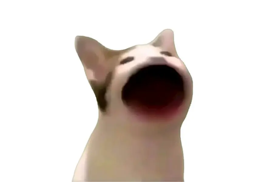 Кот открывает рот Мем