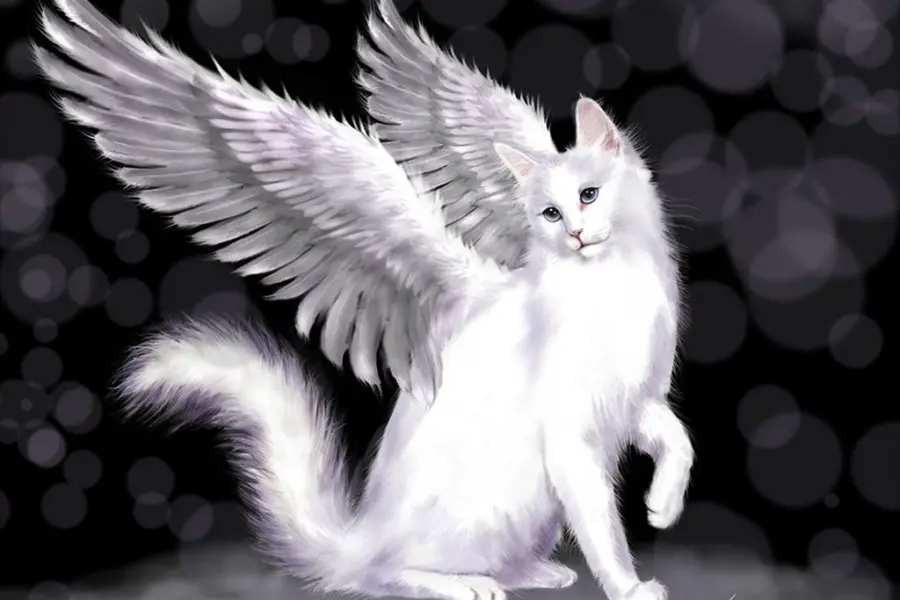 Кот с крыльями