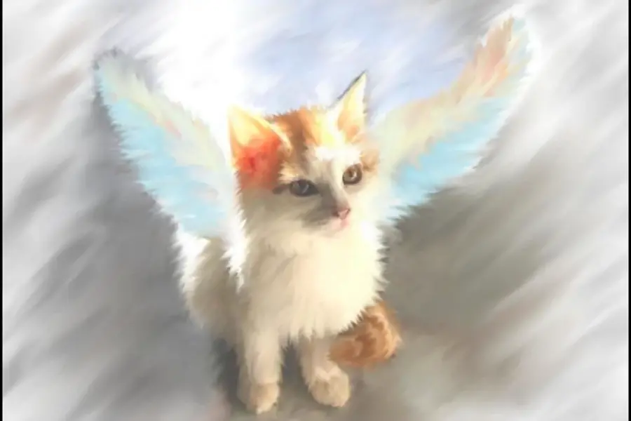 Кот с крыльями