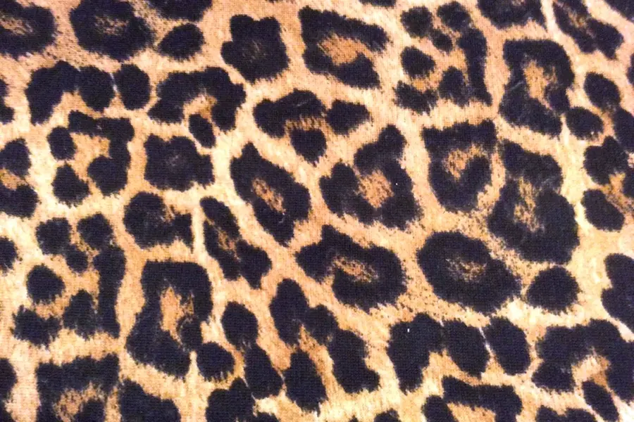 Леопардовая расцветка 2022