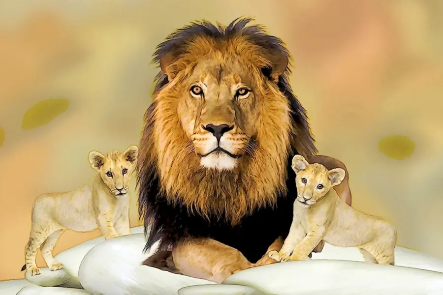 Лев и 2 львенка