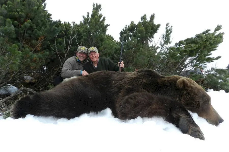 Медведь Кадьяк самый большой в мире