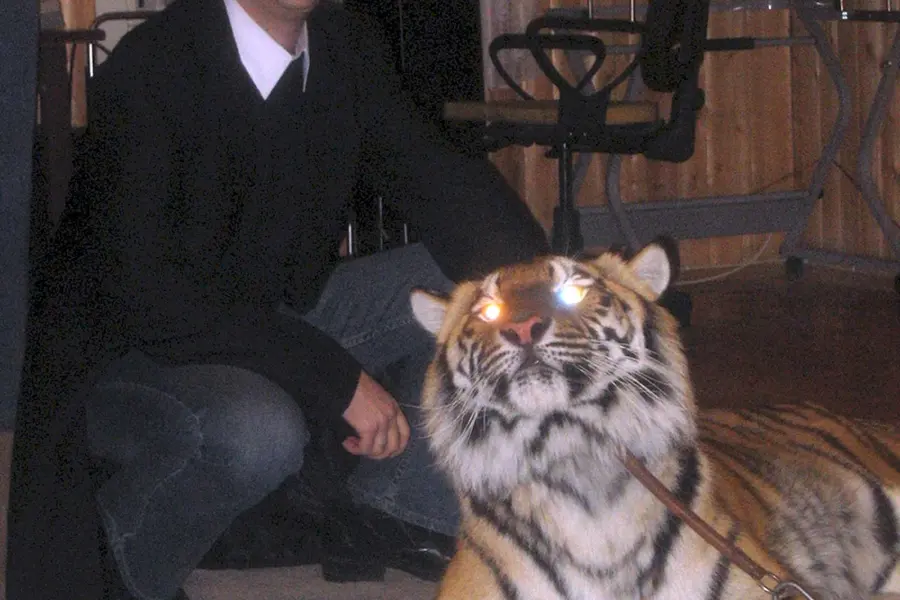 Михаил Боярский тигры