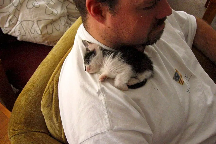 Мужчина с котом на плече