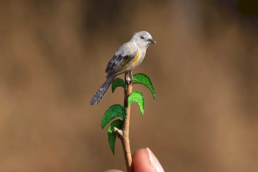 Очень маленькая птичка