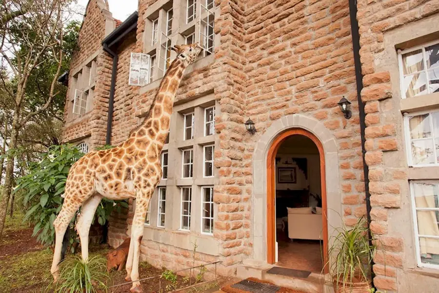 Отель Giraffe Manor