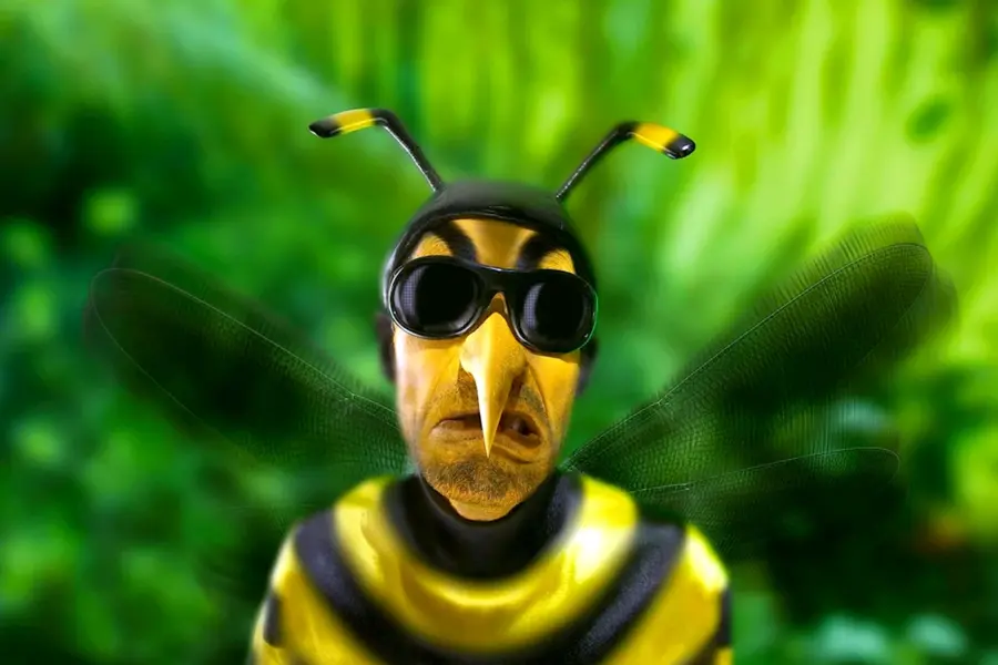 Пчела в очках