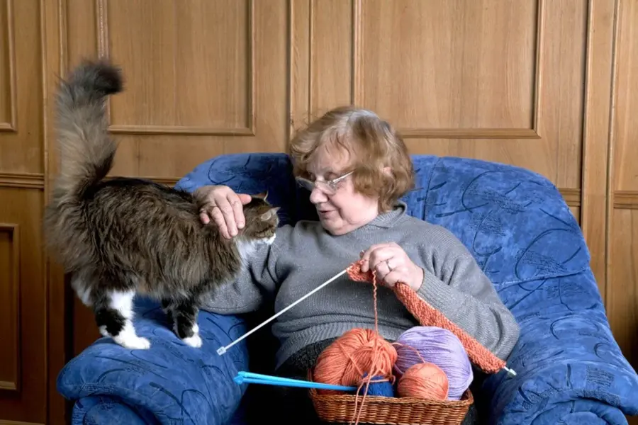 Пожилая женщина с котом