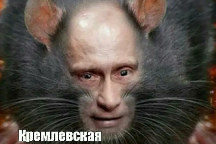 Путин мышь