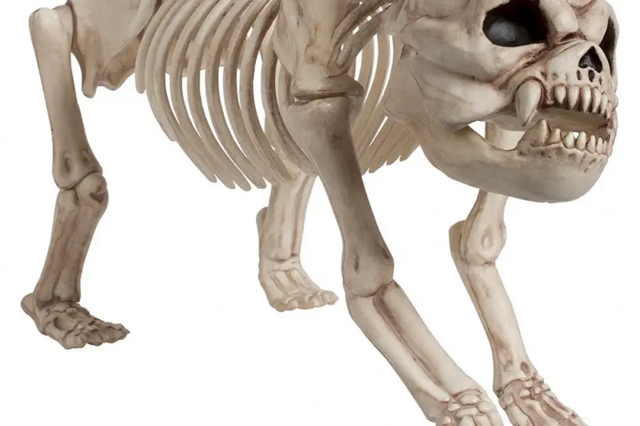 Скелет щенка