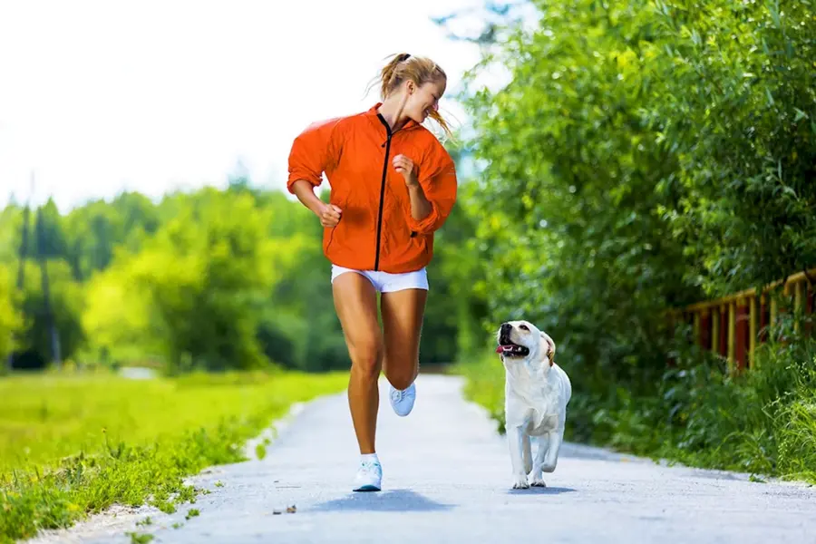 Спортивная прогулка с собакой