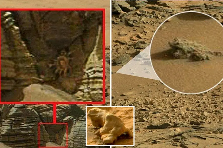 Существа живущие на Марсе