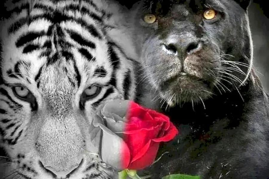 Тигрица с цветами