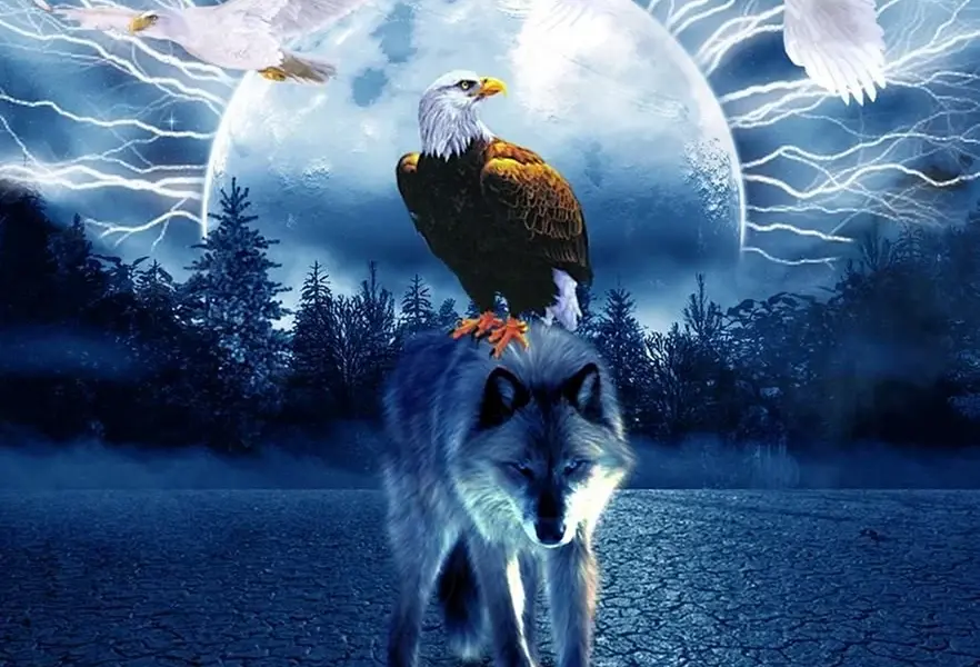 Волк и Орел вместе