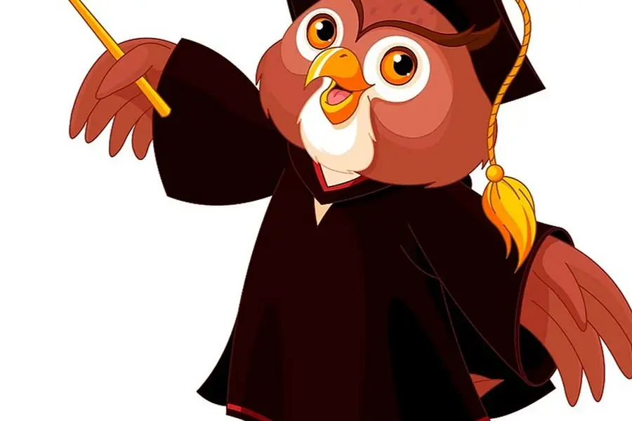 Wise Owl мудрая Сова