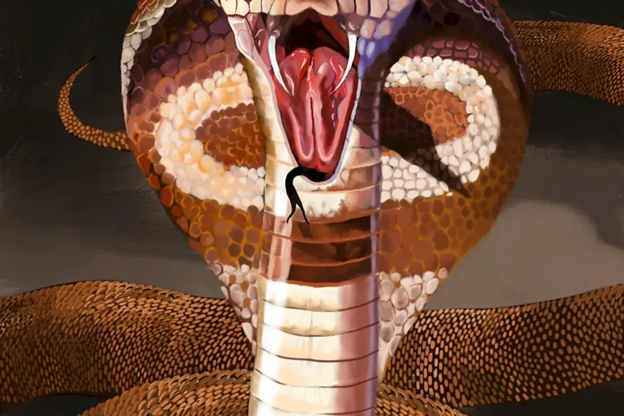 Змея Королевская Кобра злая